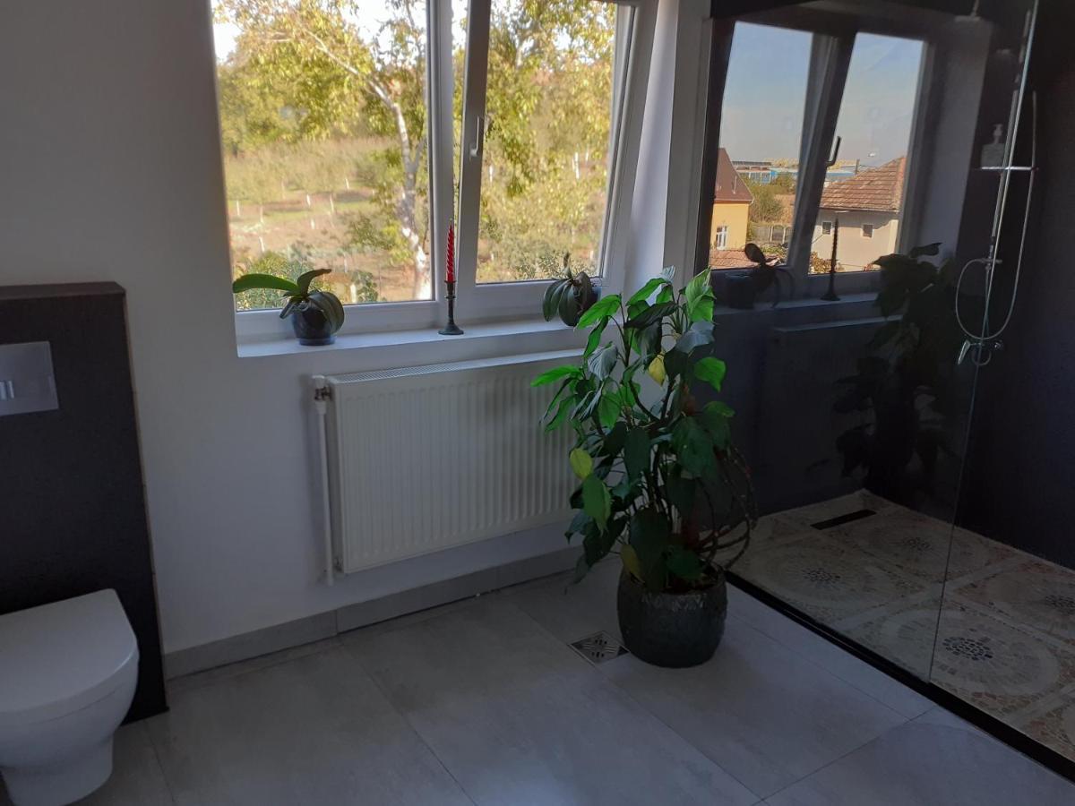 Hotel Salcia Tasnad Zewnętrze zdjęcie